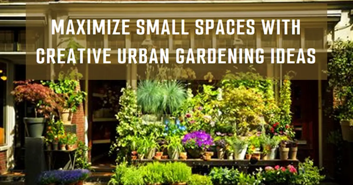 Maximizing creative urban gardening ideas