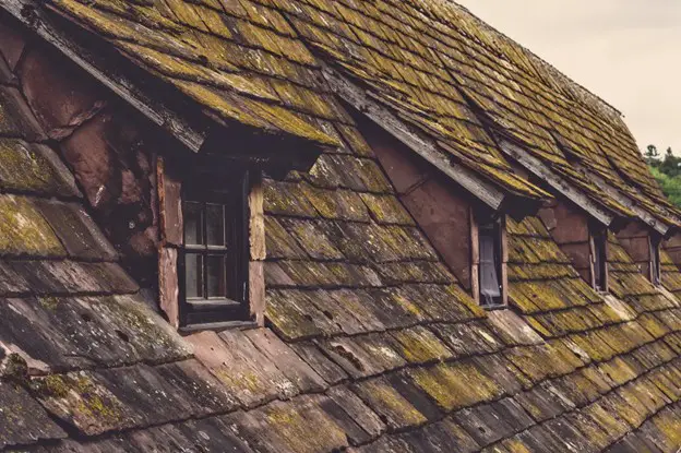 6 signs your roof is in need of immediate repairs