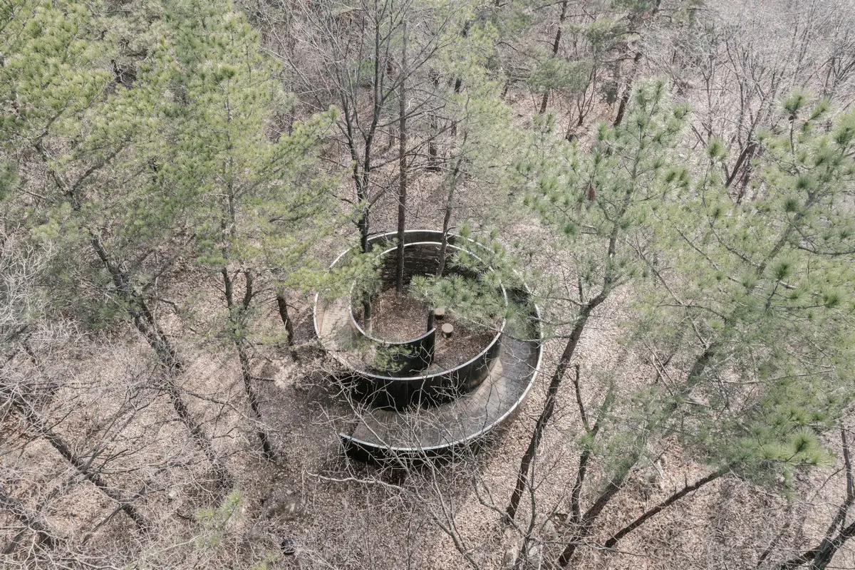 Secret Forest Pavilion South Korea