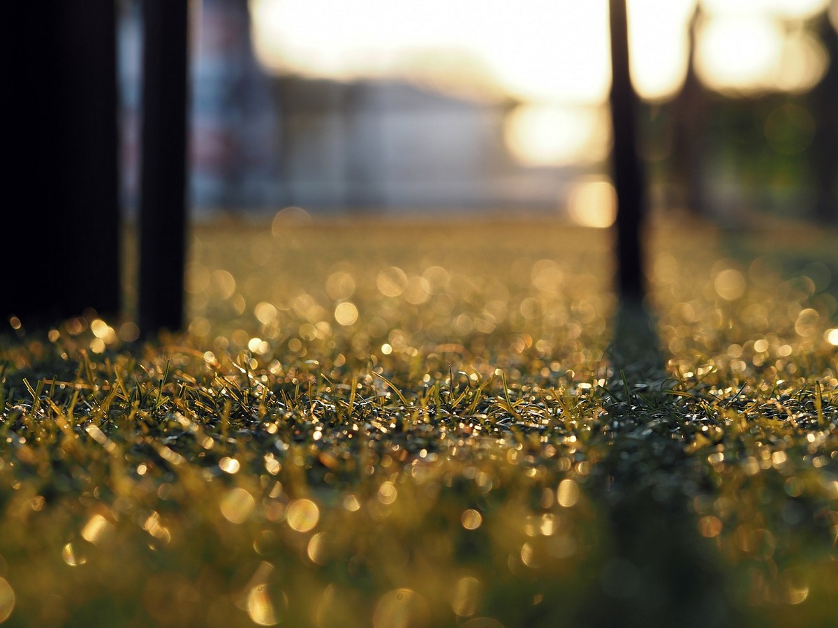 USDA-Certified artificial grass company benefits