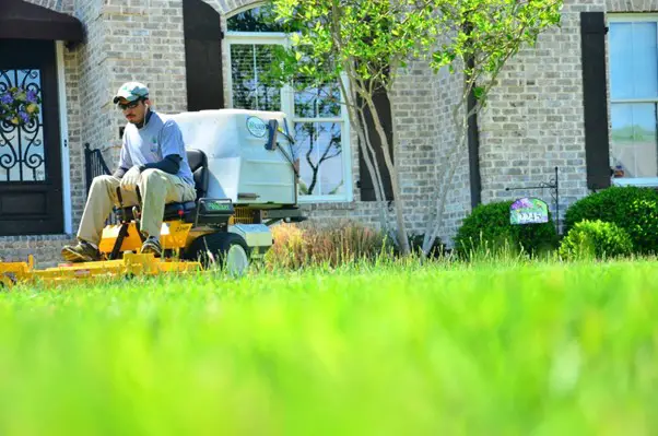 6 essential tips for achieving lawn perfection