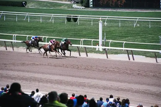 Belmont Park horse racing tracks, USA Horse racing architecture