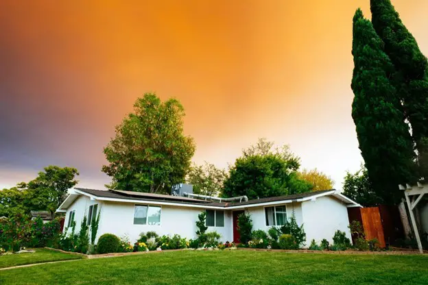 How tree preservation enhances home architecture