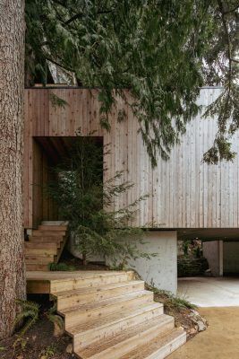 Tree House in Lions Bay, West Vancouver