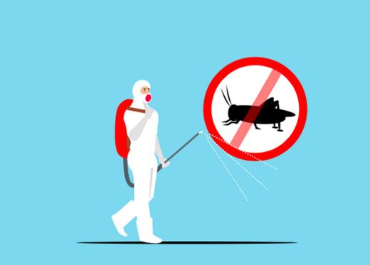 Achieving excellence in pest eradication