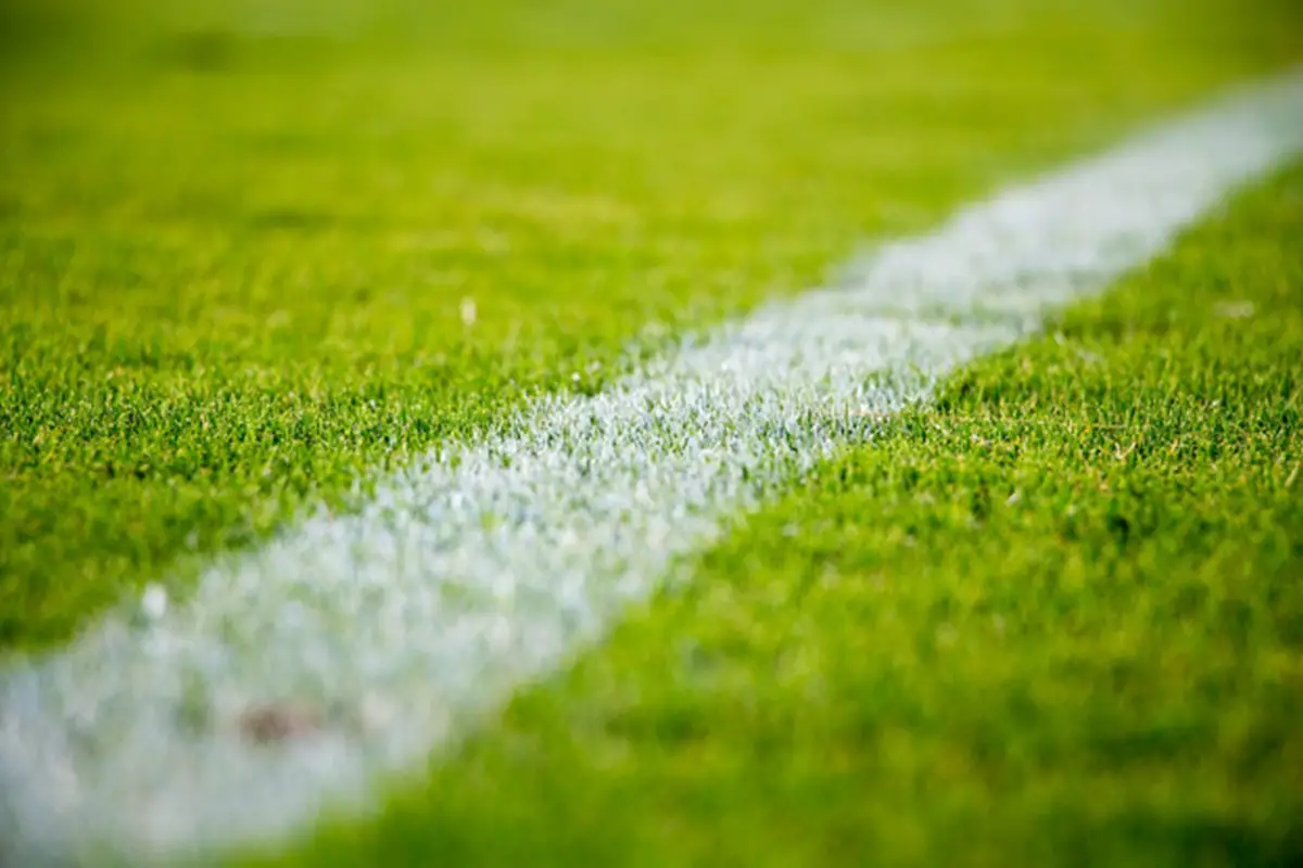 Know before installing artificial turf