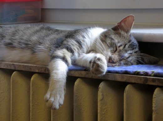 Regular heating maintenance matters