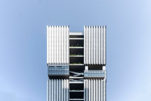 T33 Full-Time Center China