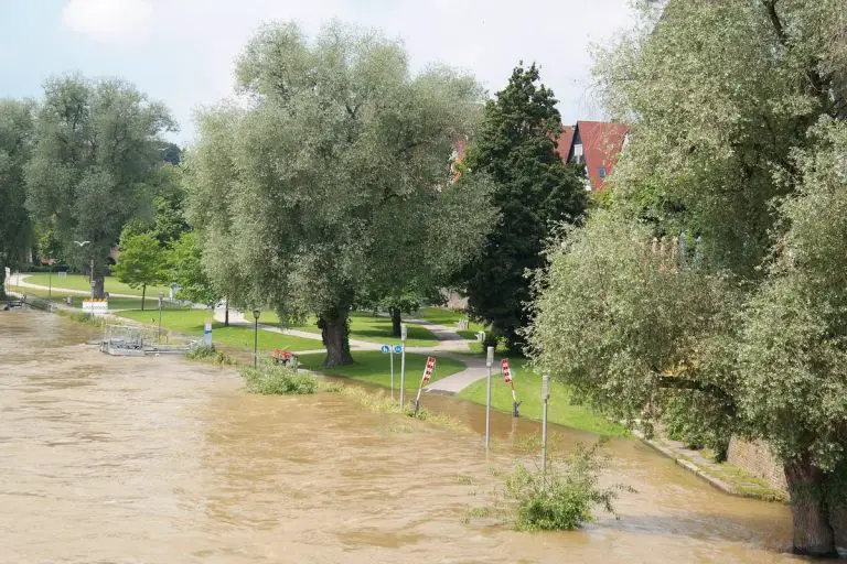 Timely water damage restoration is crucial for homeowners