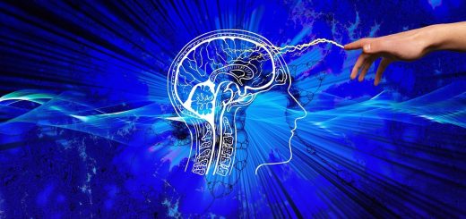 Lions Mane Powder for cognitive enhancement