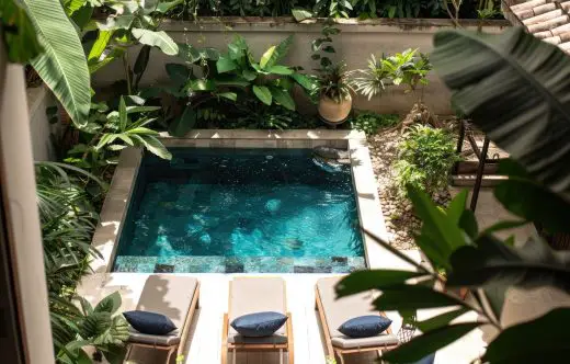Integrating organic swimming pools