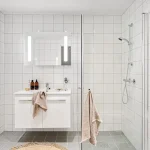 Modern bathroom accessibility: functional style