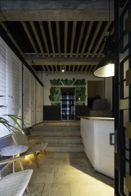 Casa Palma Mexico City building development