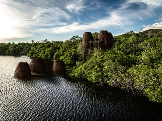 Japiim Concept Amazon Rainforest Brazil