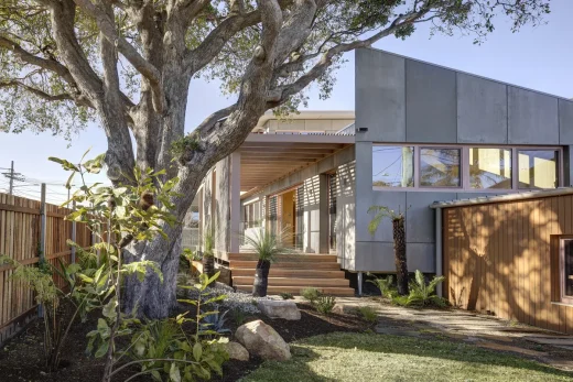 Canopy CLT House Putney New South Wales