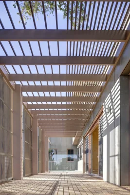 Canopy CLT House Putney New South Wales