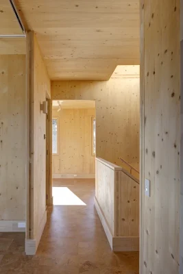 Canopy CLT House Putney NSW Australia 
