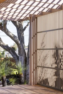 Canopy CLT House Putney New South Wales Australia