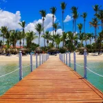 Dominican Republic real estate - palm trees sea