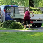 Professional landscaping services enhance property value