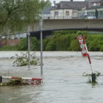 Professional water damage restoration