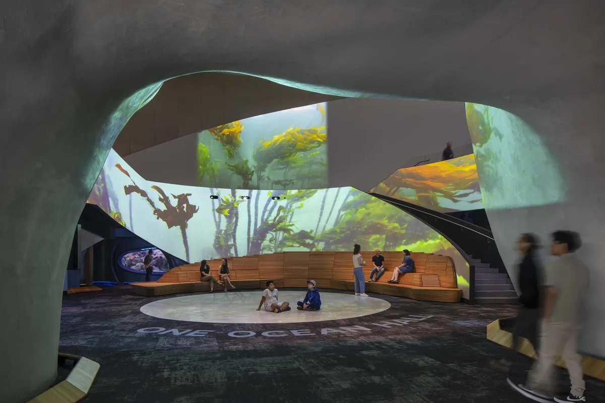 Seattle Aquarium Ocean Pavilion Washington State