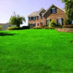 The environmental impact of artificial grass