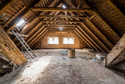 Attic rodents impact at home