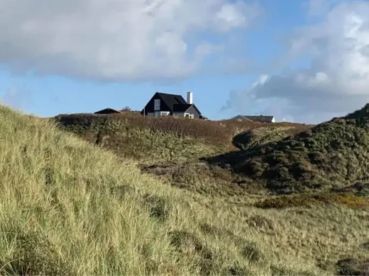 Danish homes in natural landscape