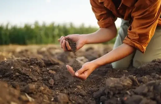 Solutions for landscaping in difficult soil
