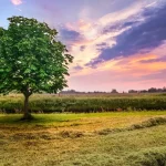 Sell your Arkansas or Kentucky land fast