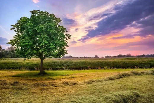 Sell your Arkansas or Kentucky land fast