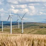 Smart decisions when choosing your energy provider