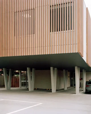 The Cat Clinic Caulfield South Melbourne