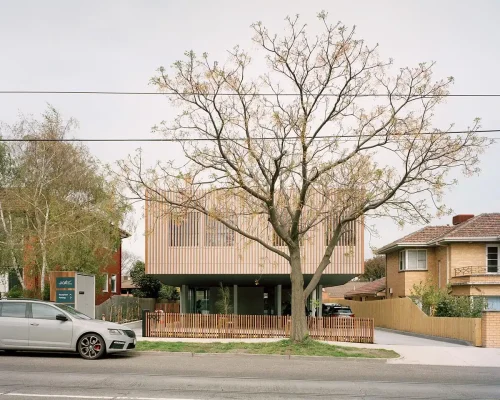 The Cat Clinic Caulfield South Melbourne