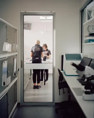 The Cat Clinic Caulfield South Australia