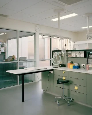 The Cat Clinic Caulfield South Australia