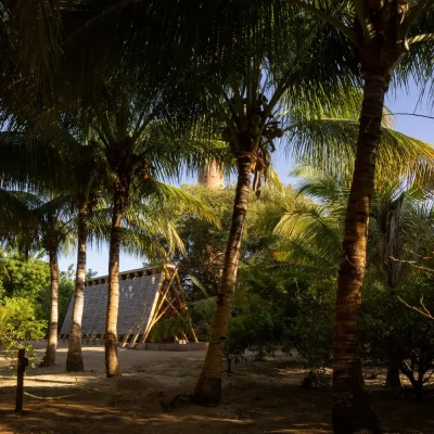 The Orchid Pavilion Puerto Escondido