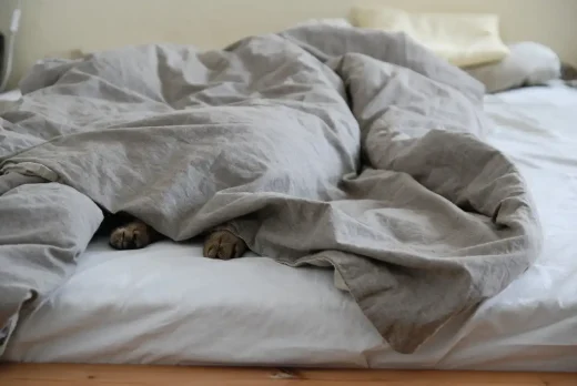 Top bedding trends to look out for