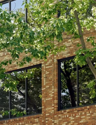 Vitus housing office Seattle WA