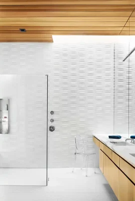 Constant Springs Residence Austin Texas