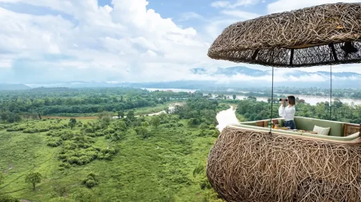 Canopy A treetop dining experience