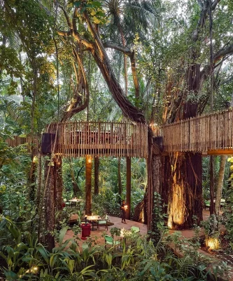 Nest Tree Top Hotel
