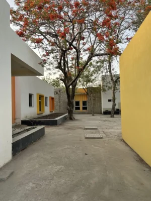 Lala Kamalapat Singhania Public School Rajasthan India