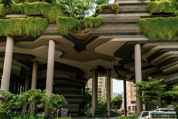 Merging architecture with nature in biophilic design