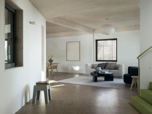 Sapling House Lilyfield New South Wales