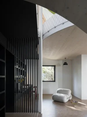 Sapling House Lilyfield New South Wales Australia