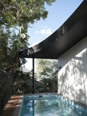 Sapling House Lilyfield NSW Australia