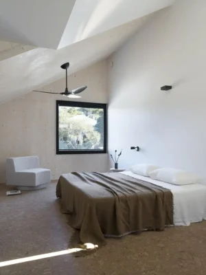 Sapling House Lilyfield New South Wales Australia
