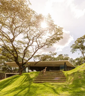 Seriema House Minas Gerais Belo Horizonte
